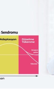 STRES VE GENEL ADAPTASYON SENDROMU